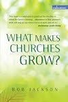 What Makes Churches Grow?: Vision and practice in effective mission (Explorations)