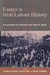 Essays in Irish Labour History: A Festschrift for Elizabeth and John W Boyle