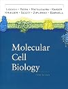 Molecular Cell Biology