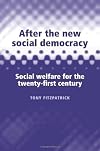 After the New Social Democracy: Social Welfare for the 21st Century