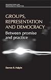 Groups, Representation and Democracy: Between Promise and Practice (Perspectives on Democratic Practice)