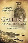 Gallipoli : a soldier's story