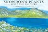 Snowdon's Plants: Since the Glaciers