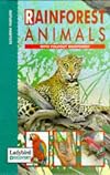 Rainforest Animals (Ladybird Discovery)