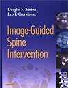 Image-Guided Spine Intervention