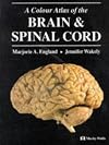 A Colour Atlas of The Brain and Spinal Cord