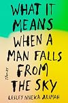 What It Means When a Man Falls from the Sky