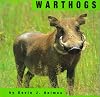 Warthogs (Animals)