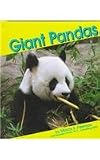 Giant Pandas (Pebble Books: Bears)