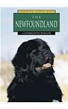 The Newfoundland