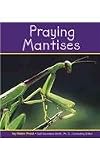 Praying Mantises (Pebble Books: Insects)