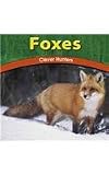Foxes: Clever Hunters (Wild World of Animals)