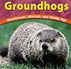 Groundhogs: Woodchucks, Marmots, and Whistle Pigs (Wild World of Animals)