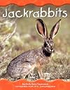 Jackrabbits (Pebble Books: Desert Animals)