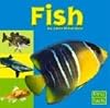 Fish (First Facts: Exploring the Animal Kingdom)