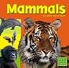 Mammals (First Facts: Exploring the Animal Kingdom)