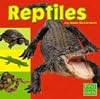 Reptiles (First Facts: Exploring the Animal Kingdom)