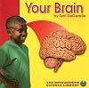 Your Brain (The Bridgestone Science Library: Your Body)