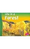 Life in a Forest (Pebble Plus: Living in a Biome)