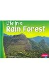 Life in a Rain Forest (Pebble Plus: Living in a Biome)
