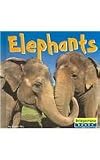 Elephants (Bridgestone Books: World of Mammals)