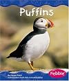 Puffins (Pebble Books: Polar Animals)