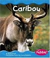 Caribou (Pebble Books: Polar Animals)