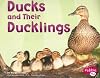 Ducks and Their Ducklings (Pebble Plus: Animal Offspring)