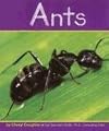 Ants (Pebble Books: Insects)