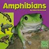 Amphibians (First Facts: Exploring the Animal Kingdom)