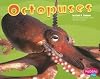 Octopuses (Pebble Plus: Under the Sea)