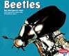 Beetles (Pebble Plus: Bugs, Bugs, Bugs)