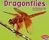 Dragonflies (Pebble Plus: Bugs, Bugs, Bugs)
