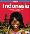 Indonesia: A Question and Answer Book (Fact Finders: Countries)
