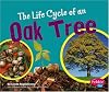 The Life Cycle of an Oak Tree (Pebble Plus: Plant Life Cycles)