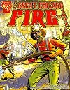 The Great Chicago Fire of 1871 (Graphic Library: Disasters in History)