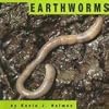 Earthworms (Animals)