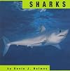 Sharks (Animals)