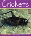 Crickets (Insects)