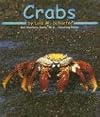 Crabs (Pebble Books: Ocean Life)