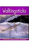 Walking Sticks (Pebble Books: Insects)