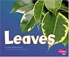 Leaves (Pebble Plus: Plant Parts)