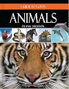 Guide to God's Animals