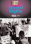 Animal Rights (History of Issues)