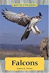 Falcons (Nature's Predators)