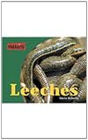 Leeches (Parasites)