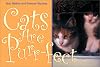 Cats Are Purr-fect