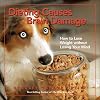Dieting Causes Brain Damage: How to Lose Weight without Losing Your Mind