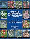Growing Penstemons: Species, Cultivars and Hybrids