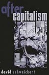 After Capitalism (New Critical Theory)